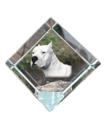 Artdog Nemška doga, argentinski dogo - kristalna kocka s fotografijo, fotografija konja v kristalu, kubični obtežilnik za papir Art-Dog