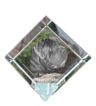 Artdog Neapeljski mastif, Neapeljski mastif, Mastino napoletano - kristalna kocka s fotografijo, fotografija konja v kristalu, kubični obtežilnik za papir Art-Dog