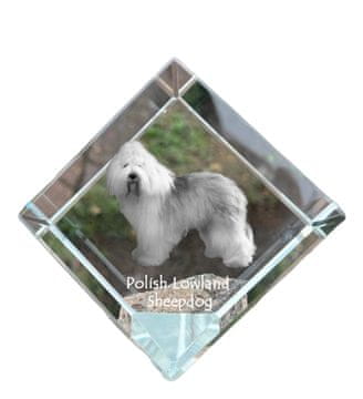 Artdog Poljski nižinski ovčar, PON - kristalna kocka s fotografijo, fotografija konja v kristalu, kubični obtežilnik za papir Art-Dog