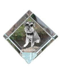 Artdog Šnavcer, Šnavcer I - kristalna kocka s fotografijo, fotografija konja v kristalu, kubični obtežilnik za papir Art-Dog