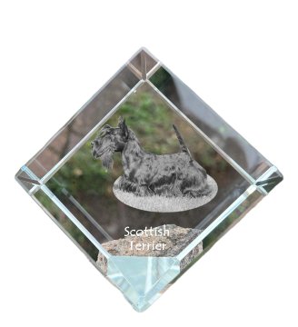 Artdog Škotski terier, Aberdeen terier - kristalna kocka s fotografijo, fotografija konja v kristalu, kubični obtežilnik za papir Art-Dog
