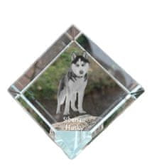 Artdog Sibirski haski, Sibirski haski - kristalna kocka s fotografijo, fotografija konja v kristalu, kubični obtežilnik za papir Art-Dog