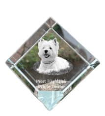 Artdog Westhighland White Terrier, Westie - kristalna kocka s fotografijo, fotografija konja v kristalu, kubični obtežilnik za papir Art-Dog