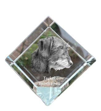 Artdog Jazbečar I - kristalna kocka s fotografijo, fotografija konja v kristalu, kubični obtežilnik za papir Art-Dog