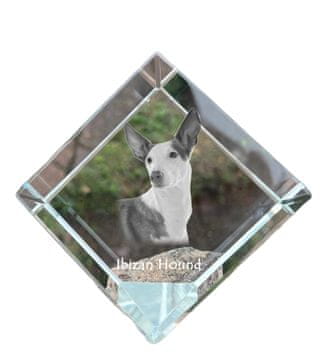 Artdog Podenco z Ibize, Podenco Ibicenco - kristalna kocka s fotografijo, fotografija konja v kristalu, kubični obtežilnik za papir Art-Dog