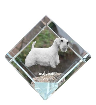 Artdog Sealyham terier - kristalna kocka s fotografijo, fotografija konja v kristalu, kubični obtežilnik za papir Art-Dog
