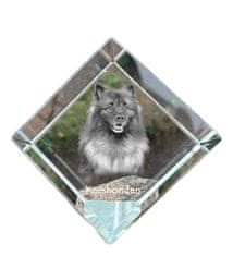 Artdog Wolf Spitz, Keeshond - kristalna kocka s fotografijo, fotografija konja v kristalu, kubični obtežilnik za papir Art-Dog