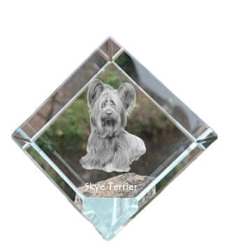 Artdog Skye terier - kristalna kocka s fotografijo, fotografija konja v kristalu, kubični obtežilnik za papir Art-Dog