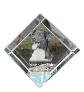 Artdog Dansko-švedski podeželski pes - kristalna kocka s fotografijo, fotografija konja v kristalu, kubični obtežilnik za papir Art-Dog