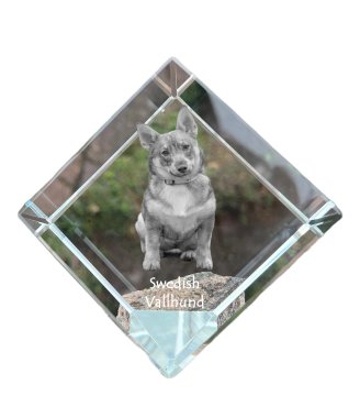 Artdog Swedish Vallhund, Swedish Sheepdog - kristalna kocka s fotografijo, fotografija konja v kristalu, kubični obtežilnik za papir Art-Dog