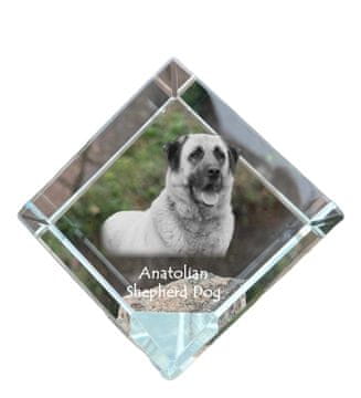 Artdog Anatolski ovčar, Anatolski ovčar - kristalna kocka s fotografijo, fotografija konja v kristalu, kubični obtežilnik za papir Art-Dog