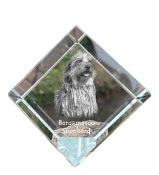 Artdog Bergamasco, Bergamo Sheepdog - kristalna kocka s fotografijo, fotografija konja v kristalu, kubični obtežilnik za papir Art-Dog