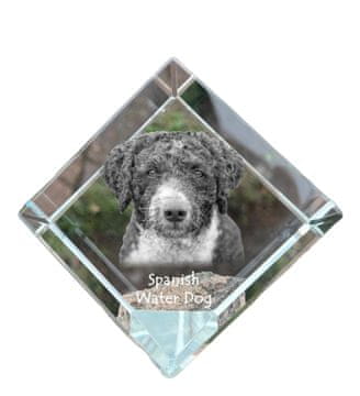 Artdog Španski vodni pes - kristalna kocka s fotografijo, fotografija konja v kristalu, kubični obtežilnik za papir Art-Dog