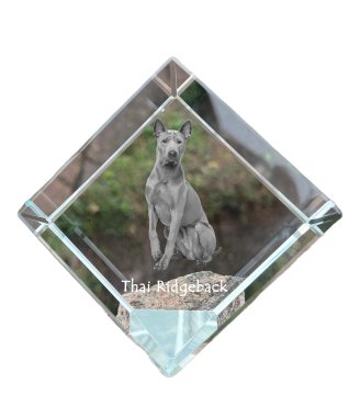 Artdog Thai Ridgeback - kristalna kocka s fotografijo, fotografija konja v kristalu, kubični obtežilnik za papir Art-Dog