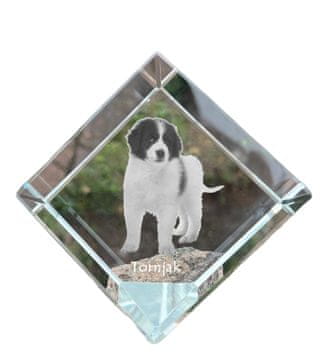 Artdog Tornjak, bosansko-hrvaški ovčar - kristalna kocka s fotografijo, fotografija konja v kristalu, kubični obtežilnik za papir Art-Dog