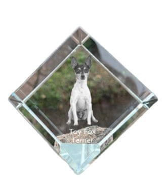 Artdog Ameriški toy terier, Toy fox terier - kristalna kocka s fotografijo, fotografija konja v kristalu, kubični obtežilnik za papir Art-Dog