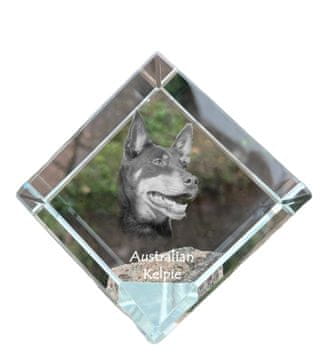 Artdog Avstralski ovčar kelpie - kristalna kocka s fotografijo, fotografija konja v kristalu, kubični obtežilnik za papir Art-Dog
