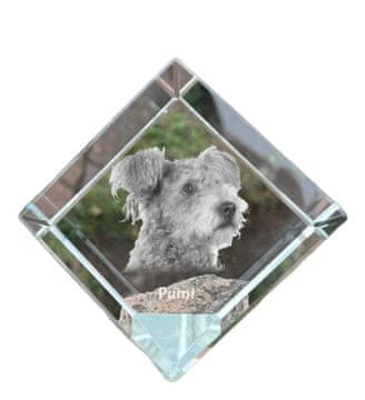 Artdog Pumi - kristalna kocka s fotografijo, fotografija konja v kristalu, kubični obtežilnik za papir Art-Dog