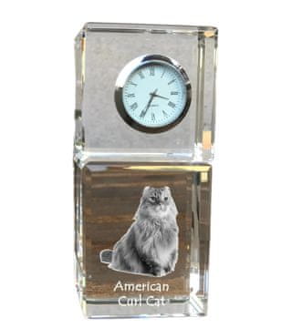 Artdog American twist - kristalna ura s fotografijo, fotografija mačke v kristalu, personalizirana namizna ura Art-Dog
