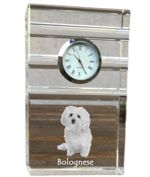 Artdog Bolognese, Bolognese - steklena ura s fotografijo, fotografija psa v kristalu, personalizirana stoječa ura za pisarno Art-Dog