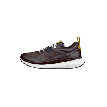 Ecco Čevlji rjava Biom 2.2 Gtx