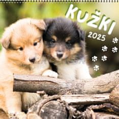 Koledar stenski Kužki 2025