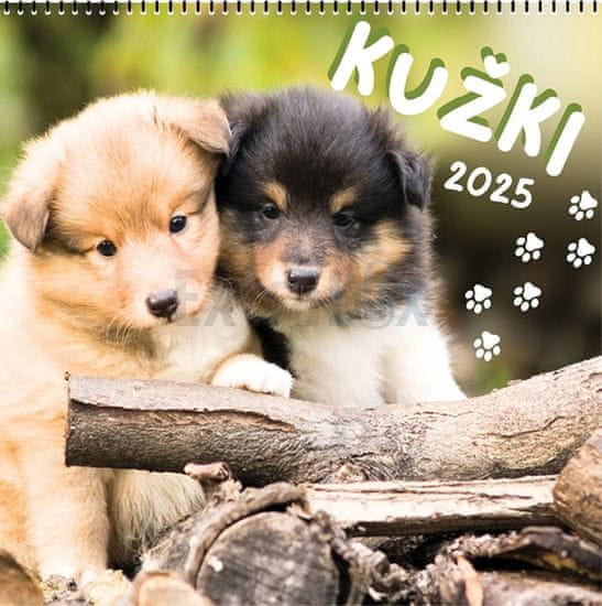 Koledar stenski Kužki 2025