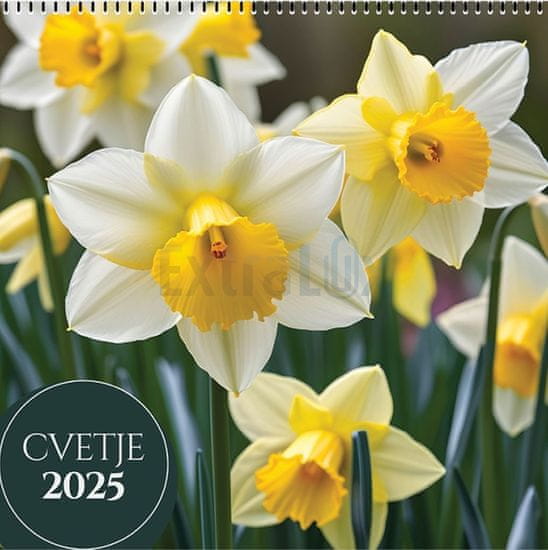 Koledar cvetje 2025