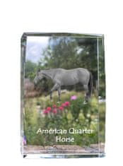Artdog American Quarter Horse - kristal s fotografijo konja, fotografija v steklu, sodobna fotografska razstava Art-Dog