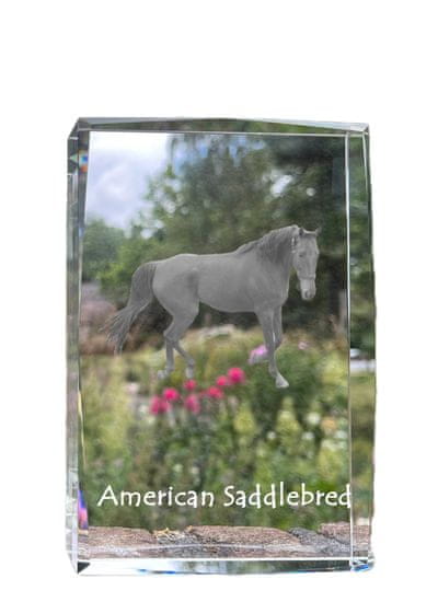 Artdog Ameriški sedlasti konj - kristal s fotografijo konja, fotografija v steklu, sodobna fotografska razstava Art-Dog