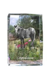 Artdog Appaloosa - kristal s fotografijo konja, fotografija v steklu, sodobna fotografska razstava Art-Dog
