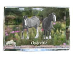 Artdog Clydesdale - kristal s fotografijo konja, fotografija v steklu, sodobna fotografska razstava Art-Dog