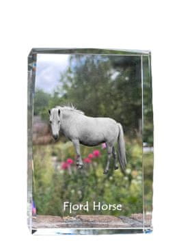 Artdog Fjordski konj - kristal s fotografijo konja, fotografija v steklu, sodobna fotografska razstava Art-Dog