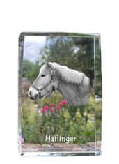 Artdog Haflinger - kristal s fotografijo konja, fotografija v steklu, sodobna razstava fotografij znamke Art-Dog