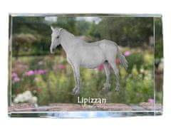 Artdog Lipicanec - kristal s fotografijo konja, fotografija v steklu, sodobna fotografska razstava Art-Dog