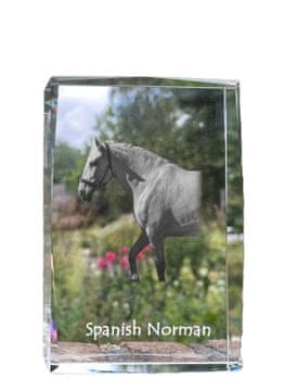 Artdog Španski Norman - kristal s fotografijo konja, fotografija v steklu, sodobna fotografska razstava Art-Dog