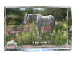 Artdog Hannoverski - kristal s fotografijo konja, fotografija v steklu, sodobna fotografska razstava Art-Dog