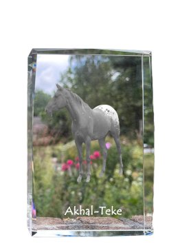 Artdog Akhal-Teke - kristal s fotografijo konja, fotografija v steklu, sodobna fotografska razstava blagovne znamke Art-Dog