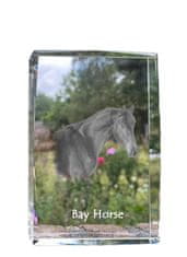 Artdog Bay horse - kristal s fotografijo konja, fotografija v steklu, sodobna fotografska razstava blagovne znamke Art-Dog