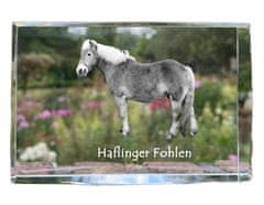 Artdog Haflinger Fohlen - kristal s fotografijo konja, fotografija v steklu, sodobna fotografska razstava Art-Dog