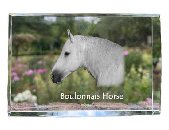 Artdog Konj Boulonnais - kristal s fotografijo konja, fotografija v steklu, sodobna fotografska razstava Art-Dog
