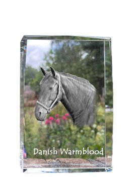 Artdog Danski toplokrvni - kristal s fotografijo konja, fotografija v steklu, sodobna fotografska razstava Art-Dog