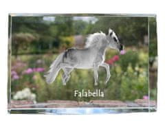 Artdog Falabella - kristal s fotografijo konja, fotografija v steklu, sodobna fotografska razstava Art-Dog