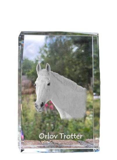 Artdog Orlov Trotter - kristal s fotografijo konja, fotografija v steklu, sodobna fotografska razstava Art-Dog