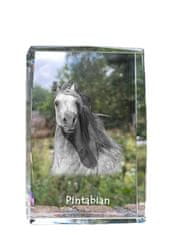 Artdog Pintabian - kristal s fotografijo konja, fotografija v steklu, sodobna fotografska razstava Art-Dog