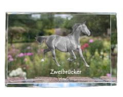 Artdog Zweibrücker - kristal s fotografijo konja, fotografija v steklu, sodobna fotografska razstava Art-Dog