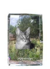 Artdog Abyssinian - kristal s fotografijo mačke, fotografija v steklu, sodobna fotografska razstava Art-Dog
