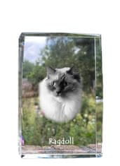 Artdog Ragdoll - kristal s fotografijo mačke, fotografija v steklu, sodobna fotografska razstava Art-Dog