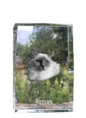 Artdog Birman - kristal s fotografijo mačke, fotografija v steklu, sodobna fotografska razstava Art-Dog