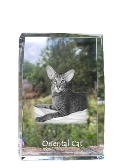Artdog Oriental - kristal s fotografijo mačke, fotografija v steklu, sodobna fotografska razstava Art-Dog